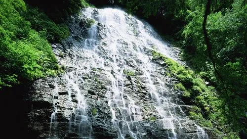 高性能高端电子